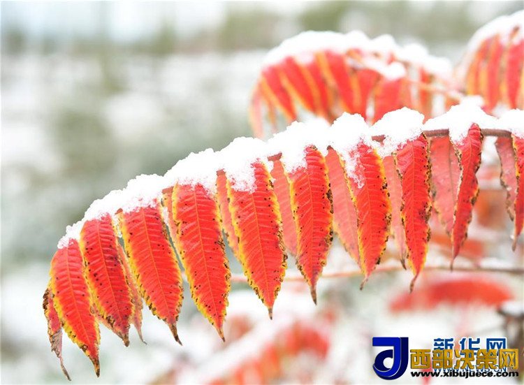 1507600846129779.jpg 5.jpg