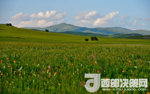 錫林郭勒草原。吳勇攝