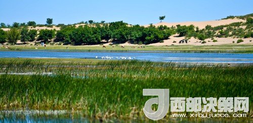 阿魯科爾沁保護區(qū)濕地沙丘。吳勇攝