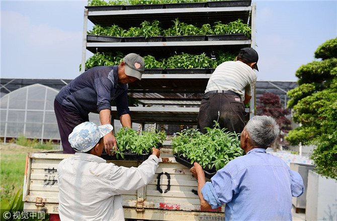 數(shù)字經濟已經成為我國經濟社會更好發(fā)展的重要推動力，也為我國鄉(xiāng)村發(fā)展提供了新的歷史機遇。（圖片來源：視覺中國）