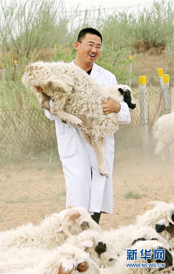 （壯麗70年·奮斗新時代——共和國發(fā)展成就巡禮·圖文互動）（3）生態(tài)美、百姓富——品讀嶄新“寧夏畫卷”