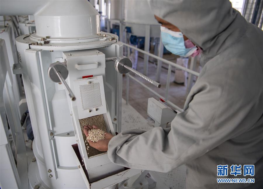 (新華全媒頭條·圖文互動(dòng))(7)血脈同心 共盼春來——疫情阻擊戰(zhàn)中的雪域故事