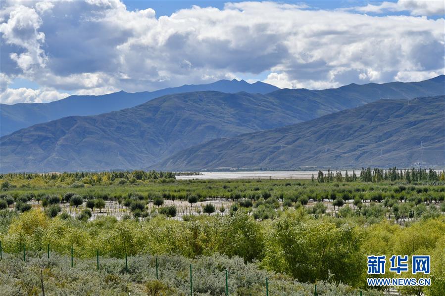 （圖文互動）（4）“今天的生活，就像夢里夢到那樣甜”——寫在西藏百萬農奴解放61周年之際