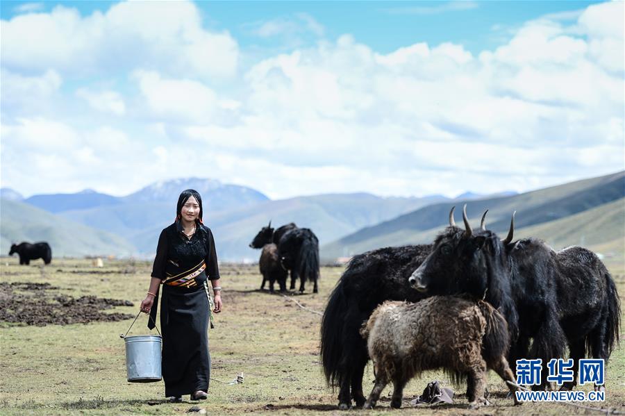 (圖文互動)(13)青海省所有貧困縣脫貧摘帽