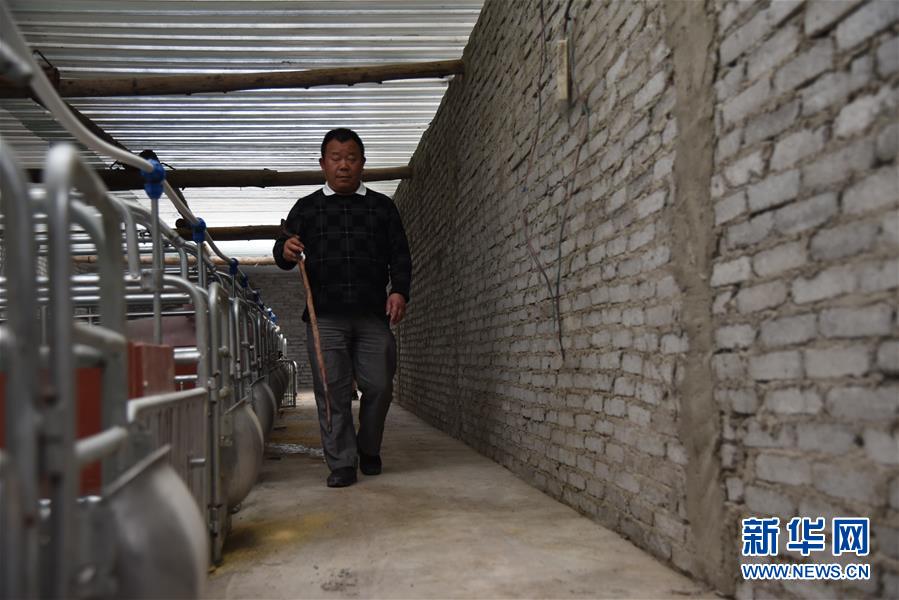 (新華全媒頭條·圖文互動(dòng))(6)刺梨花開滿山紅——記在貴州脫貧攻堅(jiān)一線奮斗的殘疾人