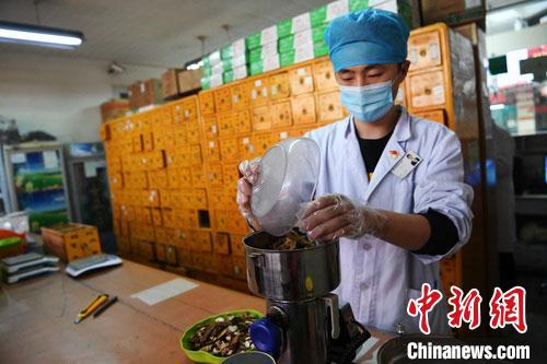 疫情發(fā)生以來，甘肅確保所有病例盡早、及時、全程使用中醫(yī)中藥，努力做到“一患一方案”。(資料圖) 楊艷敏 攝
