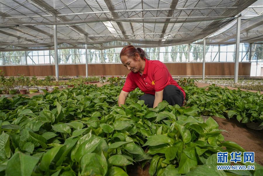 (新華全媒頭條·圖文互動)(11)旗引天山南北 譜寫發(fā)展新篇——以習近平同志為核心的黨中央關心新疆工作紀實