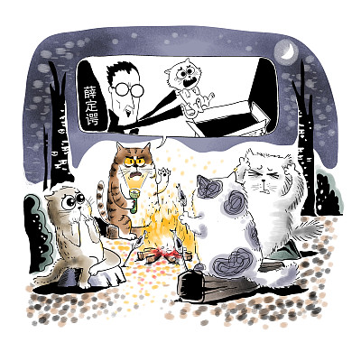 ▲物理學(xué)家薛定諤曾用一只貓比喻量子疊加。圖片來源：視覺中國