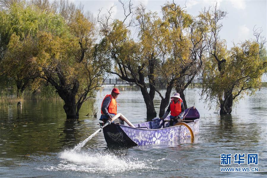 (新華全媒頭條·五中全會精神在基層·圖文互動)(9)奮發(fā)新青年 逐夢新征程——各地青年學(xué)習(xí)貫徹落實五中全會精神觀察