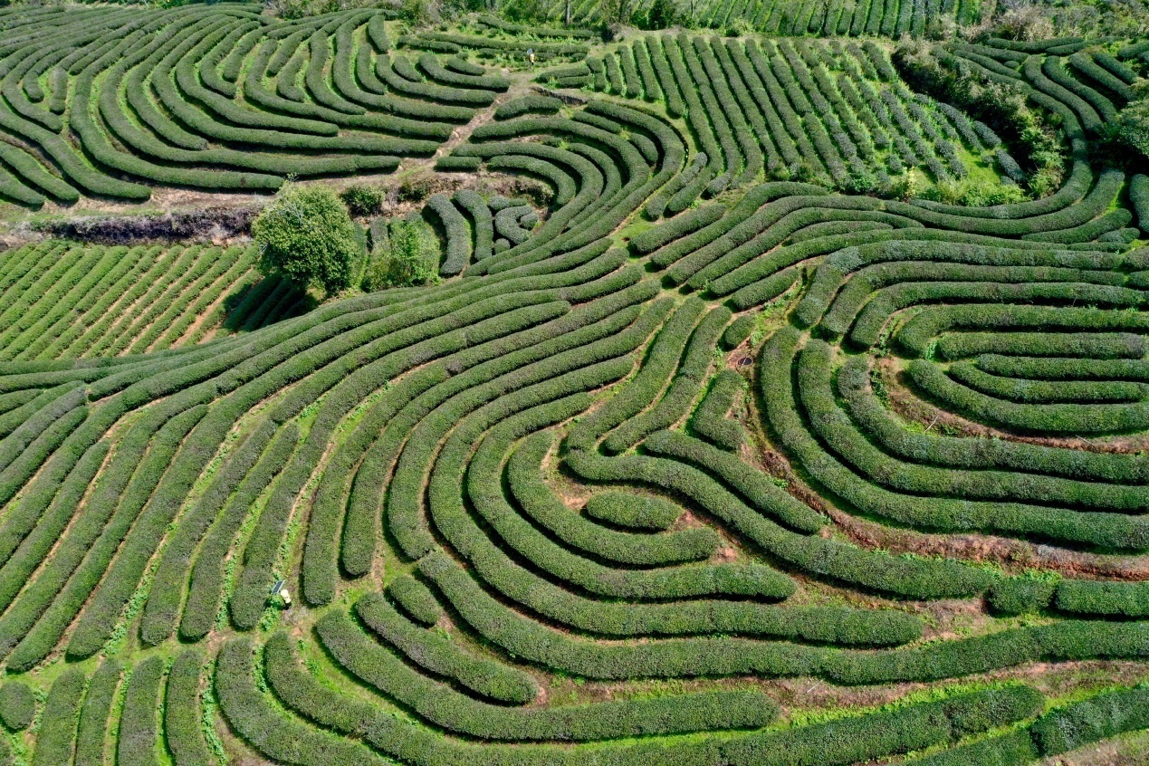 1616560497820184.png?x-oss-process=style/w10 圖片1.png?x-oss-process=style/w10