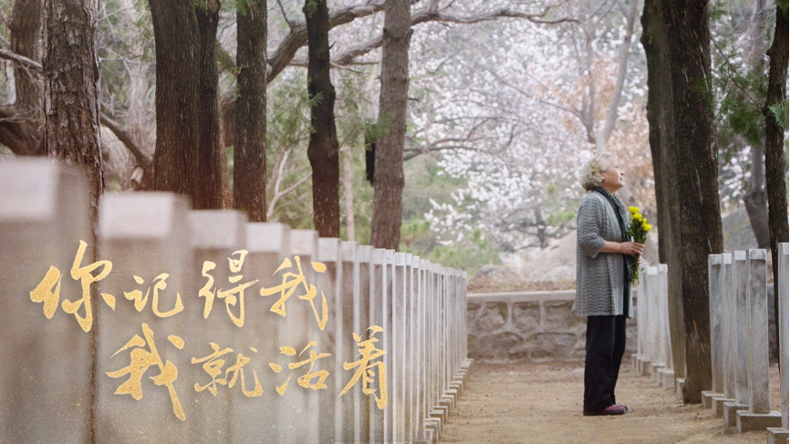 1617448453772376.png 圖片 1d.png