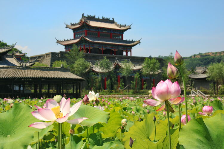 【云游渭南】心中若有桃花源，此處便是水云間！待疫情散盡，一起來(lái)渭南桃花源賞美景、觀民俗、享美食_fororder_2